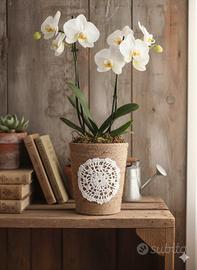 Vasetto per orchidee in terracotta rivestito a man