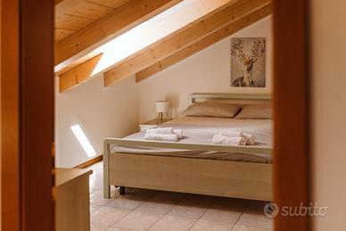 Apartment VAL DI SOLE, IL PINO CEMBRO 