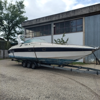 Tullio Abbate sea star 33