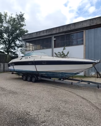 Tullio Abbate sea star 33