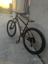 Bici trail mtb