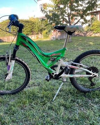 Mountain bike 24’’ ragazzo lion XMR