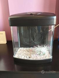 acquario professionale 26 Litri