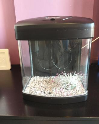acquario professionale 26 Litri
