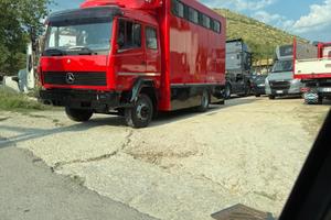 Camion trasporto cavalli