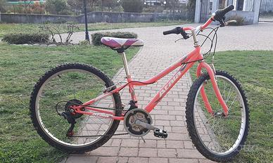 Bicicletta