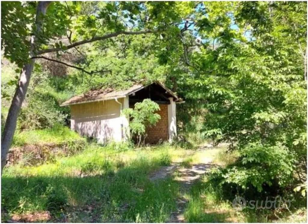 Immobile in asta di 11800 m² a Pietrabruna - Vista 5