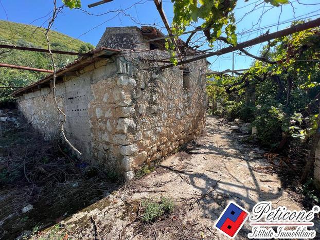 Terreno agricolo - Fondi