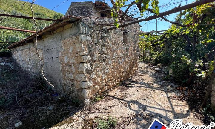 Terreno agricolo - Fondi