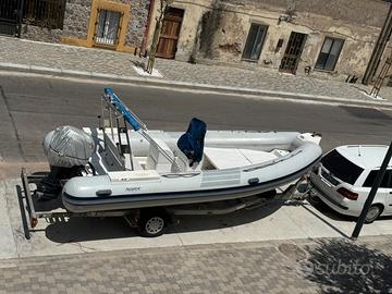 Gommone Predator 6 metri