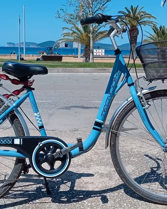 Tecnobike Moderna 28 e Dafne 26