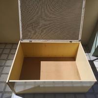 terrario / rettilario 