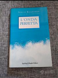 l' onda perfetta Sergio bambaren