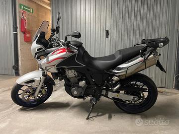 Aprilia Pegaso 650 - 2008