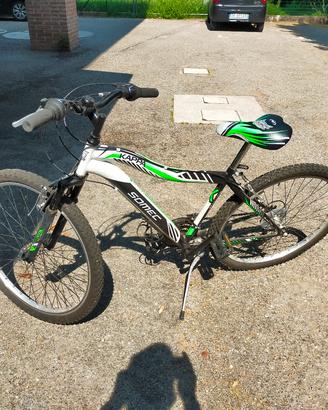 Mountain bikei 