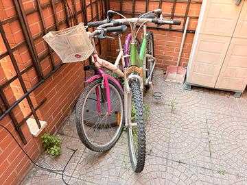 Coppia di biciclette