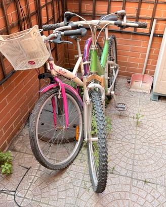 Coppia di biciclette