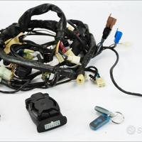 impianto elettrico Honda Hornet 600 05 06