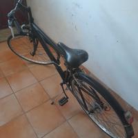 Bicicletta Regina 