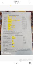 195 figurine + Celebration + Upgrade