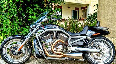 Harley Davidson V-Rod VRSCAW
