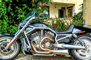 Harley Davidson V-Rod VRSCAW
