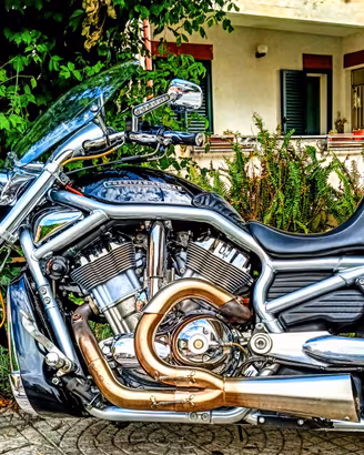 Harley Davidson V-Rod VRSCAW