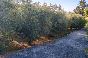 Terreno agricolo e rimessa