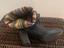 Immagine 3