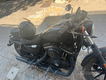 883 sportster