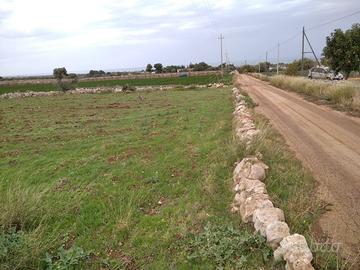 Terreno con vista panoramica