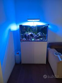 Acquario marino completo 