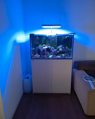 Acquario marino completo 