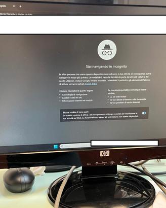 Monitor HP S2031a 20" - buone condizioni