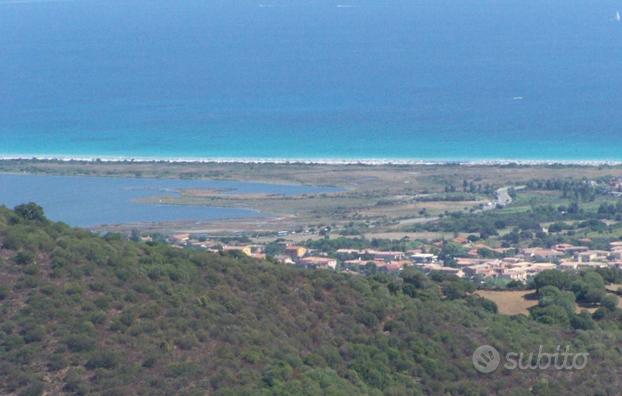 Terreno Agricolo - San Teodoro