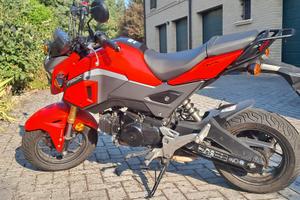 Honda Grom MSX 125