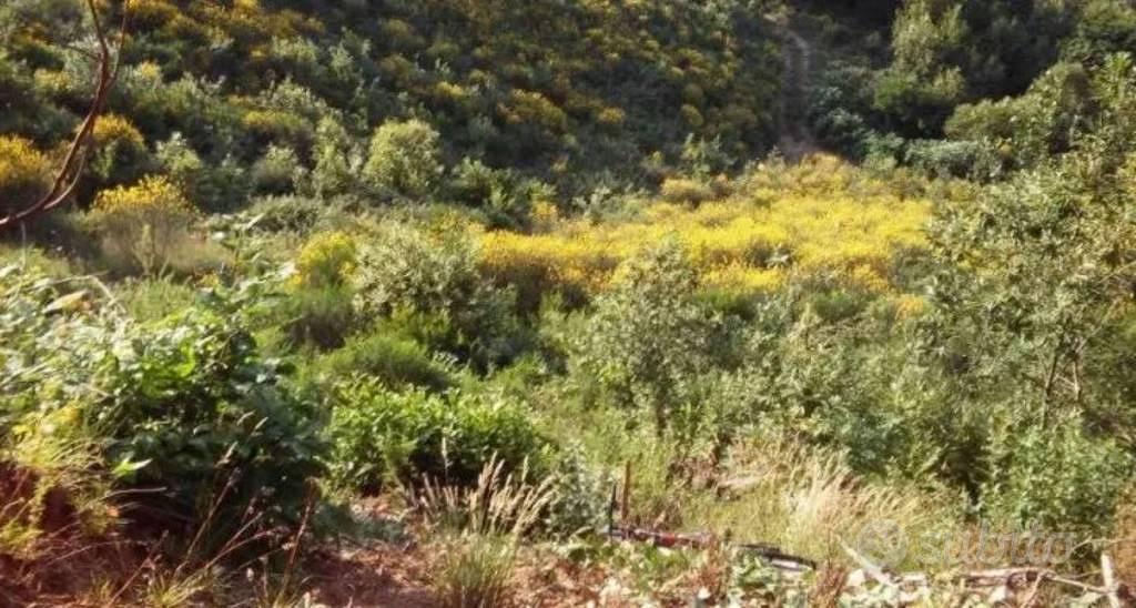 Immobile in asta di 5430 m² a Luzzi - Vista 5