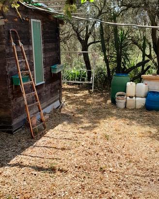 Terreno Agricolo e Roulotte vicino al Mare a Noli