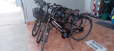 Tecnobike Moderna 28 e Dafne 26
