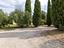 Immagine 11