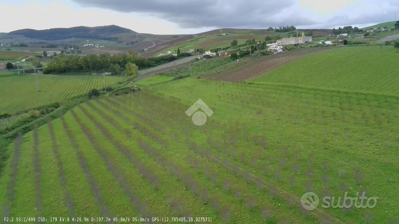 TER. AGRICOLO A CASTELLAMMARE DEL GOLFO - Altro