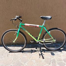 Bicicletta Montain Bike