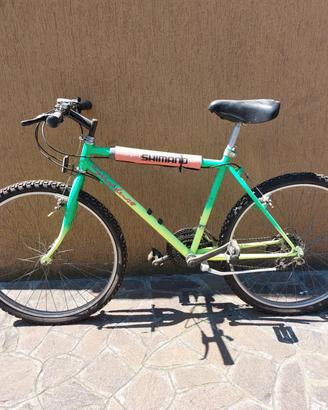 Bicicletta Montain Bike