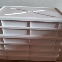 Contenitori per impasto Pizza 6+2 Tappi