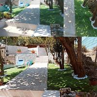 Casa Minerva - Villanova Monteleone