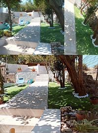 Casa Minerva - Villanova Monteleone