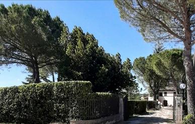 Scopri le Marche atra monti e mare 10/15Pax