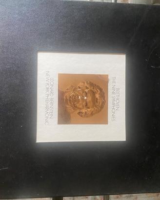 Cofanetto dischi vinile delle “Nove sinfonie”