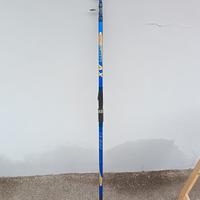 Canna da pesca da mare