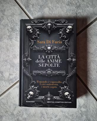 Libro Fantasy La citta delle anime sepolte